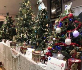 Seversl table-top decorated Christmas trees.