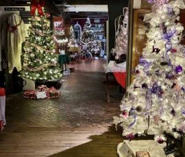 Tall, decorated Christmas trees.